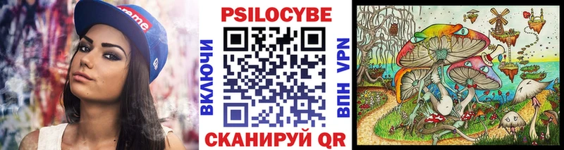 Галлюциногенные грибы Psilocybe  omg маркетплейс  Талица 